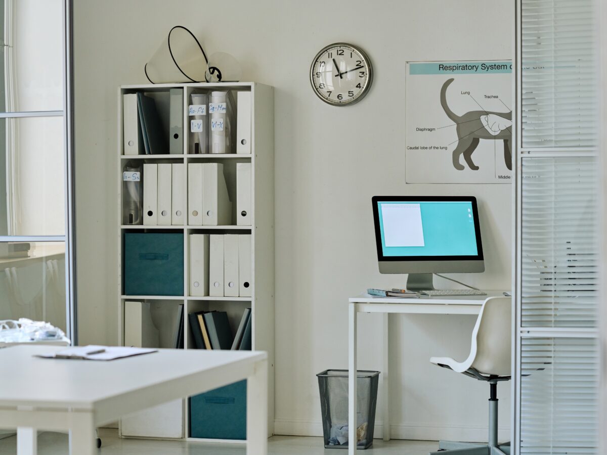 Modern,Empty,Vet,Office,With,Workplace